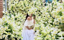 Với hơn 2.000 bông loa kèn, góc nhà biến thành vườn hoa 'độc nhất'