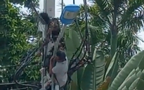 TP.HCM: Làm rõ trách nhiệm vụ điện giật một công nhân nguy kịch lúc kéo cáp