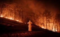 Cháy rừng tàn phá vùng đông nam Hàn Quốc