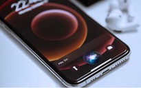 Apple đầu tư vào các máy chủ Nvidia để phát triển AI