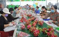 Lộ diện nhóm nông sản giúp xuất khẩu rau quả sang Mỹ tăng vọt