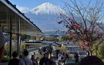 Điều gì xảy ra nếu núi Phú Sĩ động đất và núi lửa 'thức giấc'?