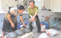 Người dân TP.HCM bàn giao 5 con rùa quý cho kiểm lâm