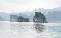 Quảng Ninh khai trương 7 hành trình khám phá vịnh Bái Tử Long