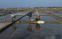 Độc đáo di sản văn hóa phi vật thể: Truyền đời hạt muối Sa Huỳnh