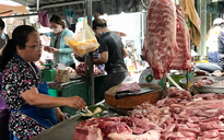 Giá heo hơi hôm nay 1.4.2025: Tiếp tục lao dốc