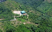 Thuê đất rừng làm nhà xưởng trái phép để sản xuất ma túy