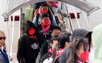 Đông Nam Á tăng cường đối phó lừa đảo qua mạng