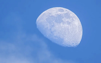 Tuần mới, người Việt nhìn lên trời ngắm trăng… ban ngày để thấy điều thú vị