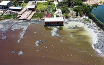 Cận cảnh khu xẻ mực xà bị rác thải bủa vây, nguồn nước đen ngòm