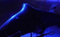 Ukraine hé lộ vũ khí khắc chế UAV cảm tử của Nga