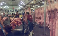 Giá heo hơi hôm nay 18.4.2025: Đi ngang trên cả nước