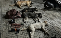 Tổ 363 Công an TP.HCM truy đuổi bắt 2 người nghi trộm chó