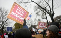 Đại học Harvard kiện ông Trump về việc cắt giảm tài trợ liên bang