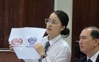 Tòa: Nhựa Bình Minh Việt và nhựa Bình Minh hoàn toàn khác nhau