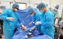 Kịp thời dùng kỹ thuật ECMO cứu sống bệnh nhi viêm cơ tim nguy kịch