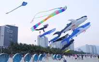 Ngắm diều nghệ thuật 'bơi' trên biển trời Đà Nẵng