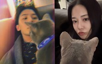 Rộ tin G-Dragon hẹn hò Lee Joo Yeon