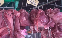 Giá heo hơi hôm nay 28.4.2025: Giảm nhiệt trước kỳ nghỉ lễ