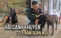 Hai chú cảnh khuyển có 5 năm tại ngũ tham gia cứu nạn tại Myanmar