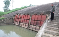 Cống thoát lũ không chịu... thoát nước