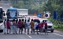 Khách du lịch check-in 'bất chấp' trên đường vào thị trấn Măng Đen