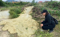 Hiện tượng lạ ở Phú Yên: Lại trào bùn nước sau 46 năm