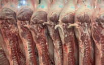 Giá heo hơi hôm nay 9.4.2025: Tăng nhẹ ở nhiều nơi