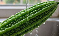3 loại thực vật giúp người tiểu đường kiểm soát đường huyết