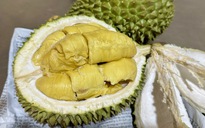Sầu riêng Thái Lan mở được 'luồng xanh' vào thị trường Trung Quốc
