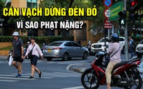 Lỡ dừng đèn đỏ cán vạch, tài xế vội lùi lại vì sợ bị phạt nặng như vượt đèn đỏ