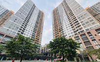 Đề nghị kiểm tra thực hiện nghĩa vụ thuế tại chung cư The Sun Avenue