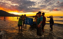 Biển Đà Nẵng đẹp ngất ngây vào khoảnh khắc bình minh, hút hồn du khách