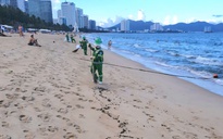 Dầu vón cục lại dạt vào bờ biển Nha Trang