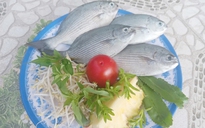 Món ngon mùa hè: Canh chua cá tà ma