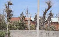 Xử lý nghiêm tình trạng buông lỏng quản lý