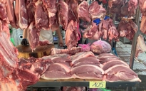 Giá heo hơi hôm nay 2.5.2025: Đi ngang sau kỳ nghỉ lễ