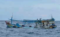 10 ngư dân gặp nạn trên biển vì va chạm với tàu nước ngoài