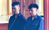 Lãnh án tù vì cướp giật túi xách khiến người phụ nữ té xuống đường, tử vong