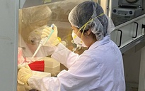 TP.HCM phát hiện biến chủng Covid-19 mới khiến số ca bệnh gia tăng