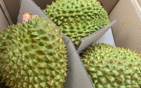 Trung Quốc phối hợp gỡ khó xuất khẩu sầu riêng Việt Nam
