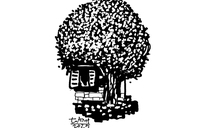 Hoa giấy - Thơ của Hạ Minh