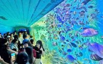 Du khách chen kín ngắm cá tại Bảo tàng Hải dương học Nha Trang
