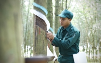 DONARUCO: Hành trình 50 năm kiến tạo tương lai bền vững