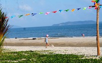 Du khách dậy từ mờ sáng mò cua bắt ốc ở Vân Đồn