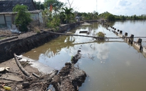 Cà Mau: Kè chống sạt lở đang thi công 'đổ sụp' xuống sông