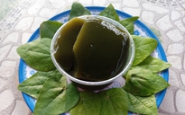 Món ngon mùa hè: Thanh mát thạch sương sâm