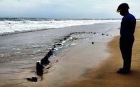 Dần hé lộ lai lịch 'tàu cổ' ở bờ biển Hội An