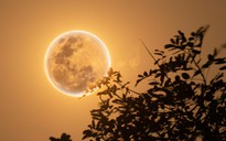 Lễ Phật đản 2025: Tối nay nhìn lên trời, người Việt thấy được Trăng Hoa huyền ảo