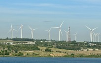 Nhập khẩu hàng hóa từ Mỹ tăng mạnh